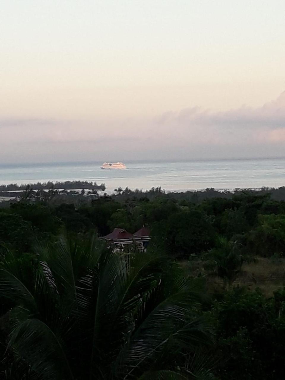 Rose View Apartment Montego Bay Exterior photo